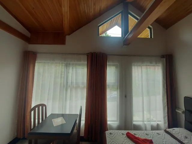 Habitación con techo alto de madera y ventanales con cortinas